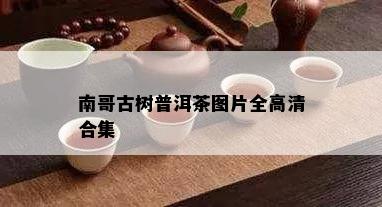 南哥古树普洱茶图片全高清合集