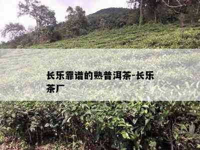 长乐靠谱的熟普洱茶-长乐茶厂