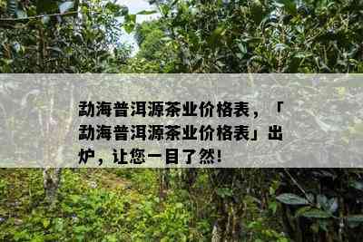 勐海普洱源茶业价格表，「勐海普洱源茶业价格表」出炉，让您一目了然！