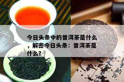 今日头条中的普洱茶是什么，解密今日头条：普洱茶是什么？