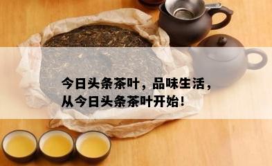 今日头条茶叶，品味生活，从今日头条茶叶开始！