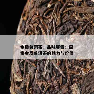 金质普洱茶，品味尊贵：探索金质普洱茶的魅力与价值