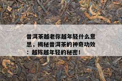 普洱茶越老你越年轻什么意思，揭秘普洱茶的神奇功效：越陈越年轻的秘密！