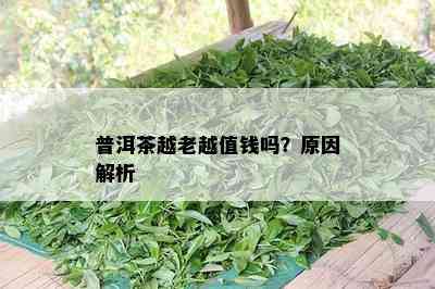 普洱茶越老越值钱吗？起因解析