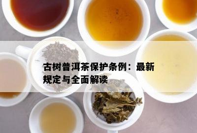 古树普洱茶保护条例：最新规定与全面解读