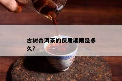 古树普洱茶的保质期限是多久？