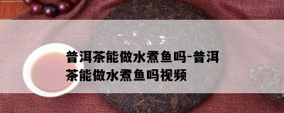 普洱茶能做水煮吗-普洱茶能做水煮吗视频