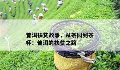 普洱扶贫故事，从茶园到茶杯：普洱的扶贫之路