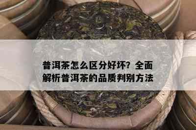 普洱茶怎么区分好坏？全面解析普洱茶的品质判别方法