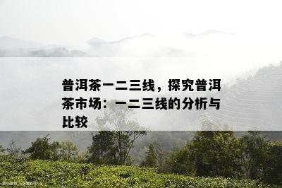 普洱茶一二三线，探究普洱茶市场：一二三线的分析与比较