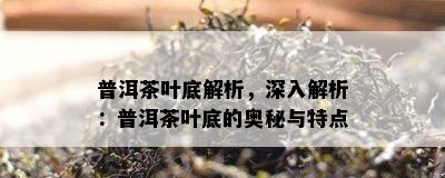 普洱茶叶底解析，深入解析：普洱茶叶底的奥秘与特点