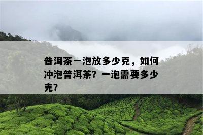 普洱茶一泡放多少克，怎样冲泡普洱茶？一泡需要多少克？