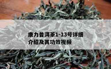 康力普洱茶1-13号详细介绍及其功效视频