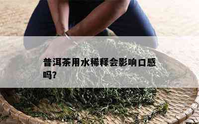 普洱茶用水稀释会影响口感吗？