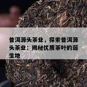 普洱源头茶业，探索普洱源头茶业：揭秘优质茶叶的诞生地