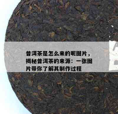 普洱茶是怎么来的呢图片，揭秘普洱茶的来源：一张图片带你熟悉其制作过程