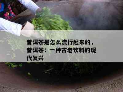 普洱茶是怎么流行起来的，普洱茶：一种古老饮料的现代复兴