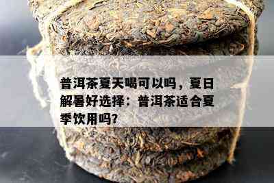 普洱茶夏天喝可以吗，夏日解暑好选择：普洱茶适合夏季饮用吗？