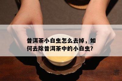 普洱茶小白虫怎么去掉，怎样去除普洱茶中的小白虫？