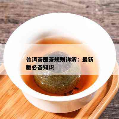 普洱茶囤茶规则详解：最新版必备知识