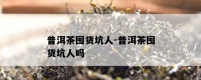 普洱茶囤货坑人-普洱茶囤货坑人吗