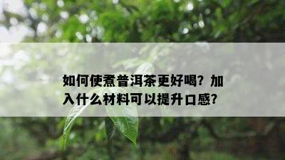 怎样使煮普洱茶更好喝？加入什么材料可以提升口感？