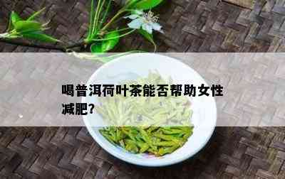 喝普洱荷叶茶能否帮助女性减肥？