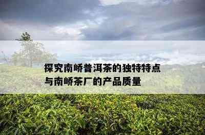 探究南峤普洱茶的独特特点与南峤茶厂的产品质量