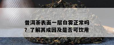 普洱茶表面一层白雾正常吗？熟悉其成因及是不是可饮用