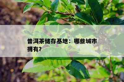 普洱茶储存基地：哪些城市拥有？