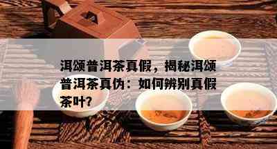 洱颂普洱茶真假，揭秘洱颂普洱茶真伪：如何辨别真假茶叶？