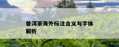 普洱茶海外标注含义与字体解析