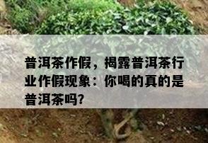 普洱茶作假，揭露普洱茶行业作假现象：你喝的真的是普洱茶吗？