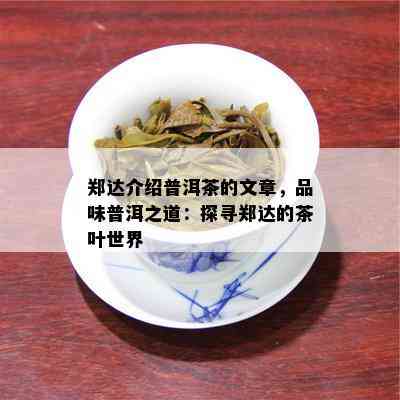 郑达介绍普洱茶的文章，品味普洱之道：探寻郑达的茶叶世界