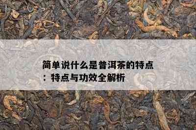 简单说什么是普洱茶的特点：特点与功效全解析