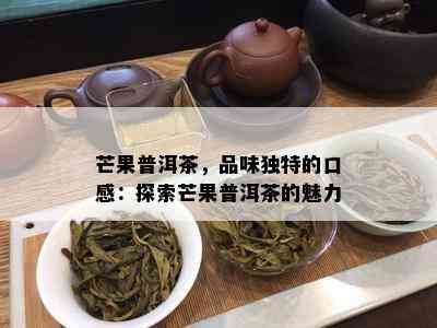 芒果普洱茶，品味特别的口感：探索芒果普洱茶的魅力