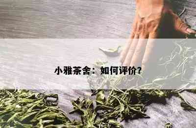 小雅茶舍：怎样评价？