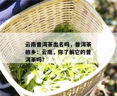 云南普洱茶出名吗，普洱茶故乡：云南，你了解它的普洱茶吗？