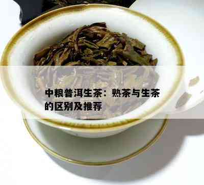 中粮普洱生茶：熟茶与生茶的区别及推荐