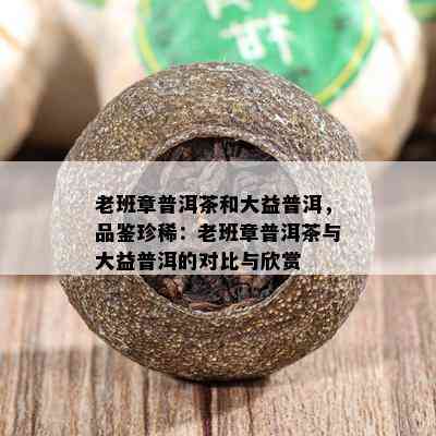 老班章普洱茶和大益普洱，品鉴珍稀：老班章普洱茶与大益普洱的对比与欣赏