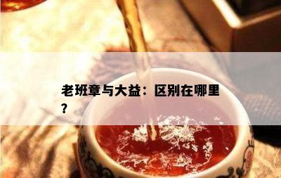 老班章与大益：区别在哪里？