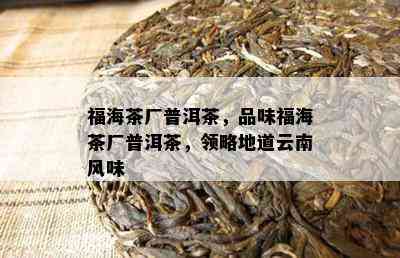 福海茶厂普洱茶，品味福海茶厂普洱茶，领略地道云南风味