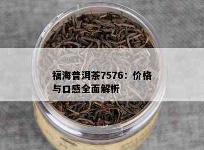 福海普洱茶7576：价格与口感全面解析