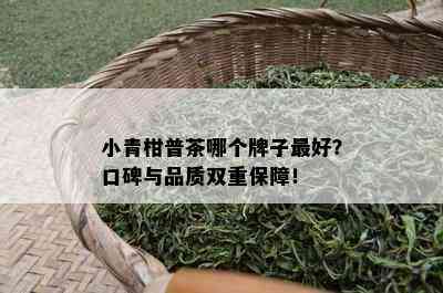 小青柑普茶哪个牌子更好？口碑与品质双重保障！