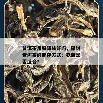 普洱茶用铁罐装好吗，探讨普洱茶的储存方法：铁罐是不是适合？