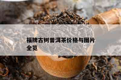 福牌古树普洱茶价格与图片全览