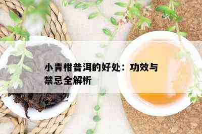 小青柑普洱的好处：功效与禁忌全解析