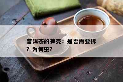 普洱茶的笋壳：是不是需要拆？为何虫？