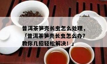 普洱茶笋壳长虫怎么解决，「普洱茶笋壳长虫怎么办？教你几招轻松解决！」