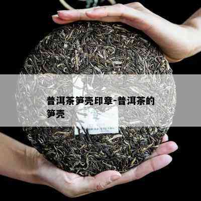 普洱茶笋壳印章-普洱茶的笋壳